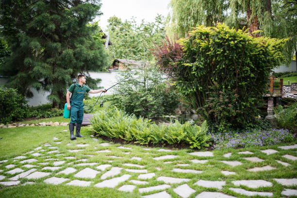 Trusted Glencoe, IL Pest Control Experts