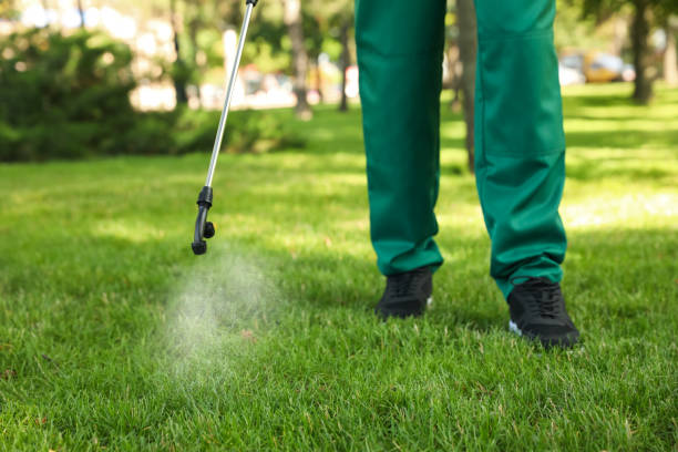 Best Best Pest Control Companies  in Glencoe, IL