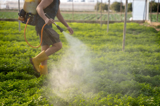 Best Pest Prevention Services  in Glencoe, IL