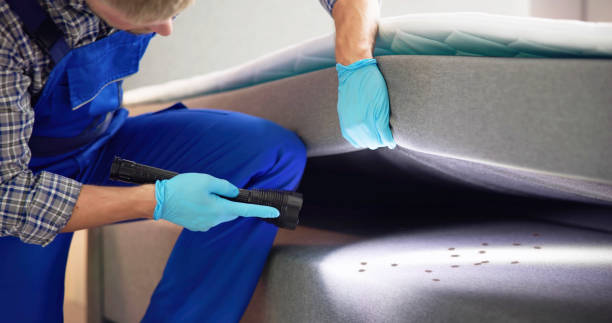 Best Local Pest Control Services  in Glencoe, IL
