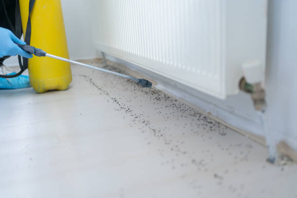 Glencoe, IL Pest Control Company