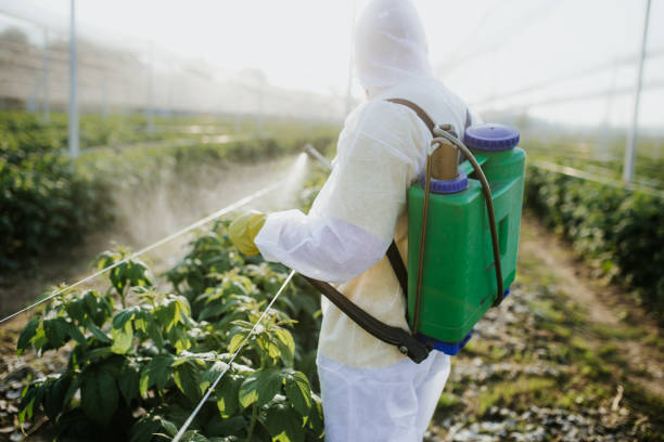 Best Local Pest Control Services  in Glencoe, IL